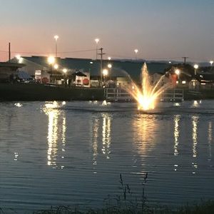 Meet your Posher, Bella